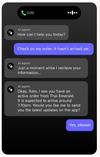 AI voice agent conversation example